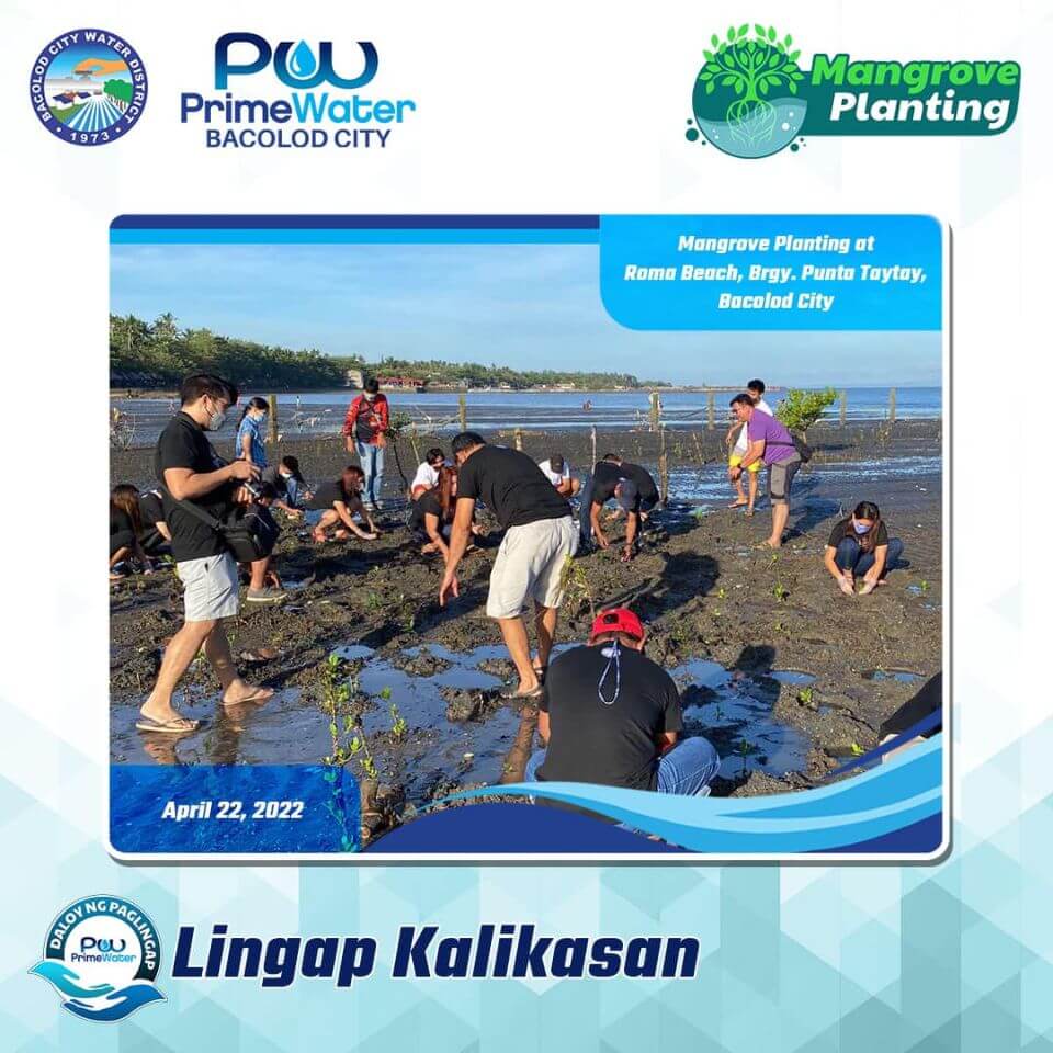 BACIWA-PrimeWater Bacolod City Mangrove Planting at Roma Beach, Brgy ...